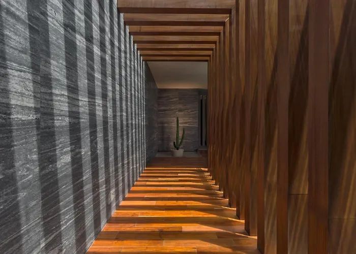The Residences At Solaz, A Luxury Collection Resort, Cabos 5* San José del Cabo